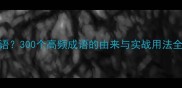 什么出是什么成语300个高频成语的由来与实战用法全附记忆技巧