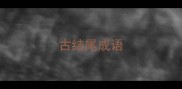 古结尾成语