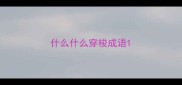 什么什么穿梭成语