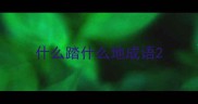 什么踏什么地成语