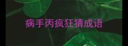 病手丙疯狂猜成语
