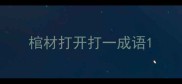 棺材打开打一成语