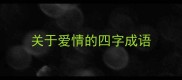关于爱情的四字成语