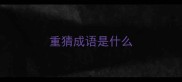 重猜成语是什么