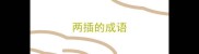 两插的成语