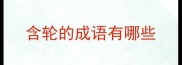 含轮的成语有哪些