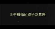 关于植物的成语及意思