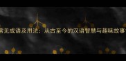 常见成语及用法从古至今的汉语智慧与趣味故事
