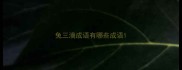 兔三滴成语有哪些成语