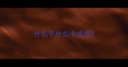 什么字什么中成语