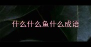什么什么鱼什么成语