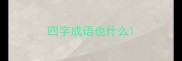 四字成语也什么