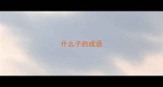 什么子的成语