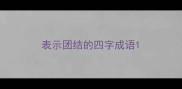 表示团结的四字成语