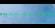 成语推荐叶落归根回家路上的智慧与情感抉择