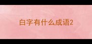 白字有什么成语