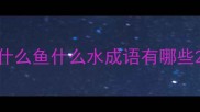 什么鱼什么水成语有哪些