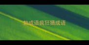 勃成语疯狂猜成语