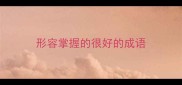 形容掌握的很好的成语