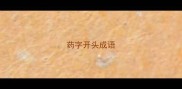 药字开头成语