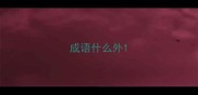 成语什么外