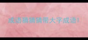 成语猜猜猜带大字成语