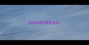 追的成语有哪些成语