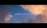 成语什么什么不去