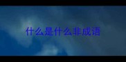 什么是什么非成语