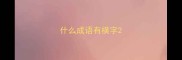 什么成语有横字