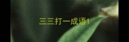 三三打一成语