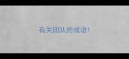 有关团队的成语