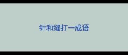 针和缝打一成语