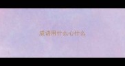 成语用什么心什么