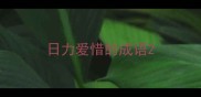 日力爱惜的成语
