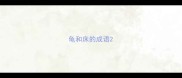 龟和床的成语