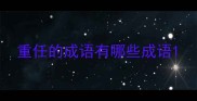 重任的成语有哪些成语