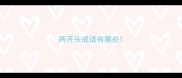 两开头成语有哪些