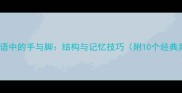 数字成语中的手与脚结构与记忆技巧附10个经典案例