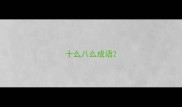 十么八么成语
