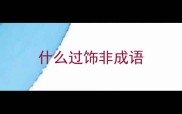 什么过饰非成语
