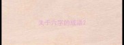 关于六字的成语