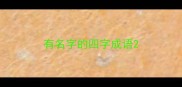 有名字的四字成语