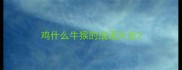 鸡什么牛猴的成语大全