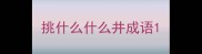挑什么什么井成语