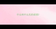 什么砖什么瓦的成语