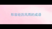 形容经历风雨的成语