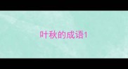 叶秋的成语