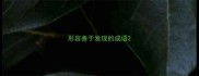形容善于发现的成语