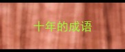 十年的成语
